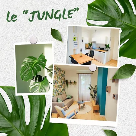 Appartements A Theme Clermont-Ferrand Extérieur photo