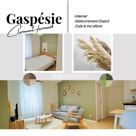 Appartements A Theme Clermont-Ferrand Extérieur photo