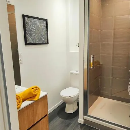 Appartements A Theme Clermont-Ferrand Extérieur photo