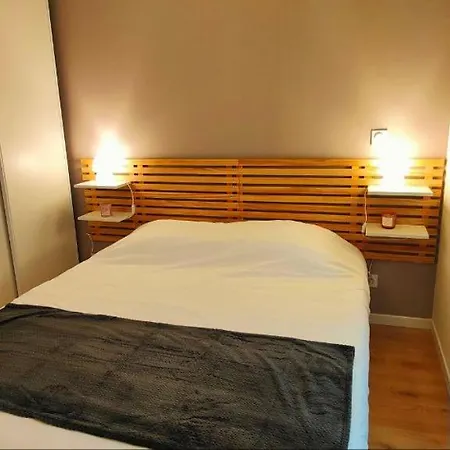 Appartements A Theme Clermont-Ferrand Extérieur photo
