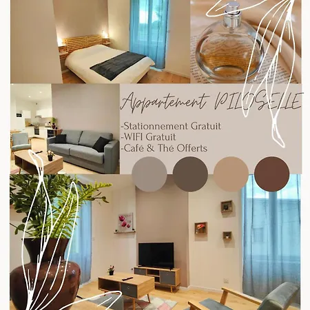 Appartements A Theme Clermont-Ferrand Extérieur photo